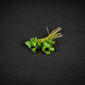 Brokkoli mikrozöldség